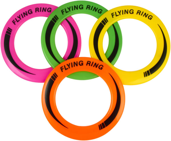 HS61223 - FLYING DISK - PLASTIC - 24CM -PDQ